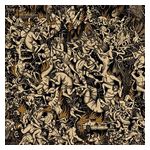 Greet Death: New Hell [LP] - VINYL Product Image