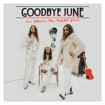 Goodbye June: See Where the Night Goes [LP] - VINYL Product Image