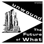 Unwound: The Future of What [LP] - VINYL Product Image