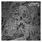 Saviours: Palace of Vision [LP] [VINYL] Product Image