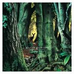 David Sylvian: Manafon [LP] - VINYL Product Image