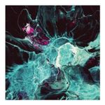 Future Elevators: Future Elevators [LP] - VINYL Product Image