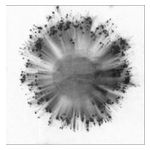 Trentemøller: Obverse [LP] - VINYL Product Image