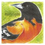 Baird: BIRDSONGS TRILOGY [Coke Bottle Clear 2 LP] [LP] - VINYL Product Image