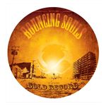 The Bouncing Souls: The Gold Record: Picture Disc [LP] - VINYL Product Image