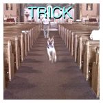 Alex G: Trick [LP] - VINYL Product Image