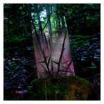 Jensen Sportag: Stealth of Days [LP] - VINYL Product Image