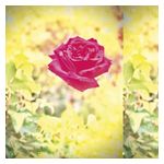 Lambchop: Trip [LP] [VINYL] Product Image