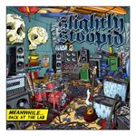 Slightly Stoopid: Meanwhile...Back at the Lab [LP] - VINYL Product Image
