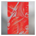 Helm: Olympic Mess [LP] - VINYL Product Image