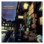 David Bowie: Rise and Fall of Ziggy Stardust and the Spiders from Mars [LP] [LP] - VINYL Product Image