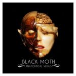 Black Moth: Anatomical Venus [LP] - VINYL Product Image