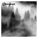 Oceansnow: Vivienne [LP] [VINYL] Product Image