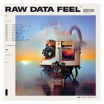 Everything Everything: Raw Data Feel [LP] - VINYL Product Image