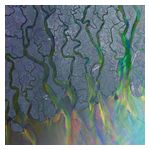 Alt-J: An Awesome Wave [LP] - VINYL Product Image