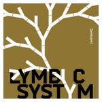 Lymbyc Systym: Symbolyst [LP] - VINYL Product Image