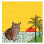 Best Coast: Crazy for You [LP] [LP] - VINYL Product Image