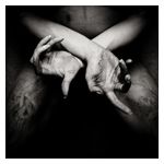 Shining: X: Varg Utan Flock [LP] - VINYL Product Image