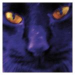 David Kilgour: Bobbie's a Girl [LP] - VINYL Product Image