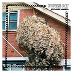 Surprise Chef: Daylight Savings [LP] - VINYL Product Image