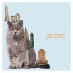 The Brian Jonestown Massacre: Fire Doesn't Grow On Trees [LP] - VINYL Product Image