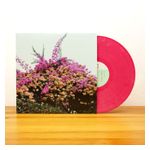 Jay Som: Turn Into [LP] - VINYL Product Image