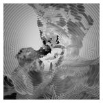 X-Altera: X-Altera [LP] - VINYL Product Image