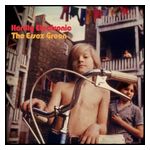 The Essex Green: Hardly Electronic [LP] - VINYL Product Image