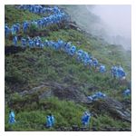 Courtney Barnett: End of the Day [LP] [VINYL] Product Image