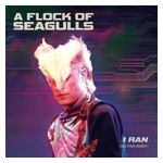 A Flock of Seagulls: I Ran (So Far Away) [LP] [VINYL] Product Image