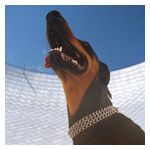 Overmono: Good Lies [LP] - VINYL Product Image