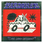 Pardoner: Came Down Different [LP] - VINYL Product Image