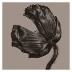 Pet Shop Boys: Release [LP] - VINYL Product Image