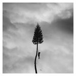 Manchester Orchestra: A Black Mile to the Surface [LP] - VINYL Product Image