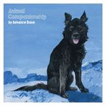 Advance Base: Animal Companionship [LP] - VINYL Product Image
