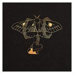 David Gray: Gold in a Brass Age [LP] [LP] - VINYL Product Image