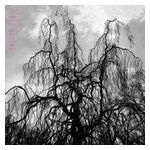 Colin Stetson: Never Were the Way She Was [LP] - VINYL Product Image
