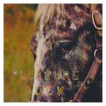 Spirit of the Beehive: Pleasure Suck [LP] - VINYL Product Image