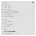 Sylvan Esso: No Rules Sandy [LP] - VINYL Product Image