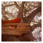 The Backseat Lovers: Waiting To Spill [Anniversary Edition] [Translucent Ruby LP] [LP] - VINYL Product Image