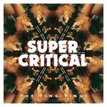 The Ting Tings: Super Critical [LP] - VINYL Product Image