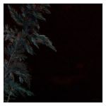 Lehmann B. Smith: Dark Green [LP] - VINYL Product Image