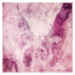 Porcelain Raft: Strange Weekend [LP] - VINYL Product Image