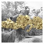 Martin Guerra: Temporada de Pesca [LP] - VINYL Product Image