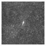 Birds of Passage: The Last Garden [LP] - VINYL Product Image