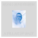 Noah Gundersen: A Pillar of Salt [Clear Vinyl] [LP] - VINYL Product Image