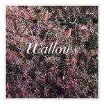 Wallows: Spring [LP] - VINYL Product Image