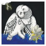 Songs: Ohia: Magnolia Electric Co. [LP] - VINYL Product Image
