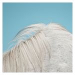 Widowspeak: All Yours [LP] - VINYL Product Image