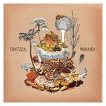 Tristeza: Paisajes [LP] - VINYL Product Image